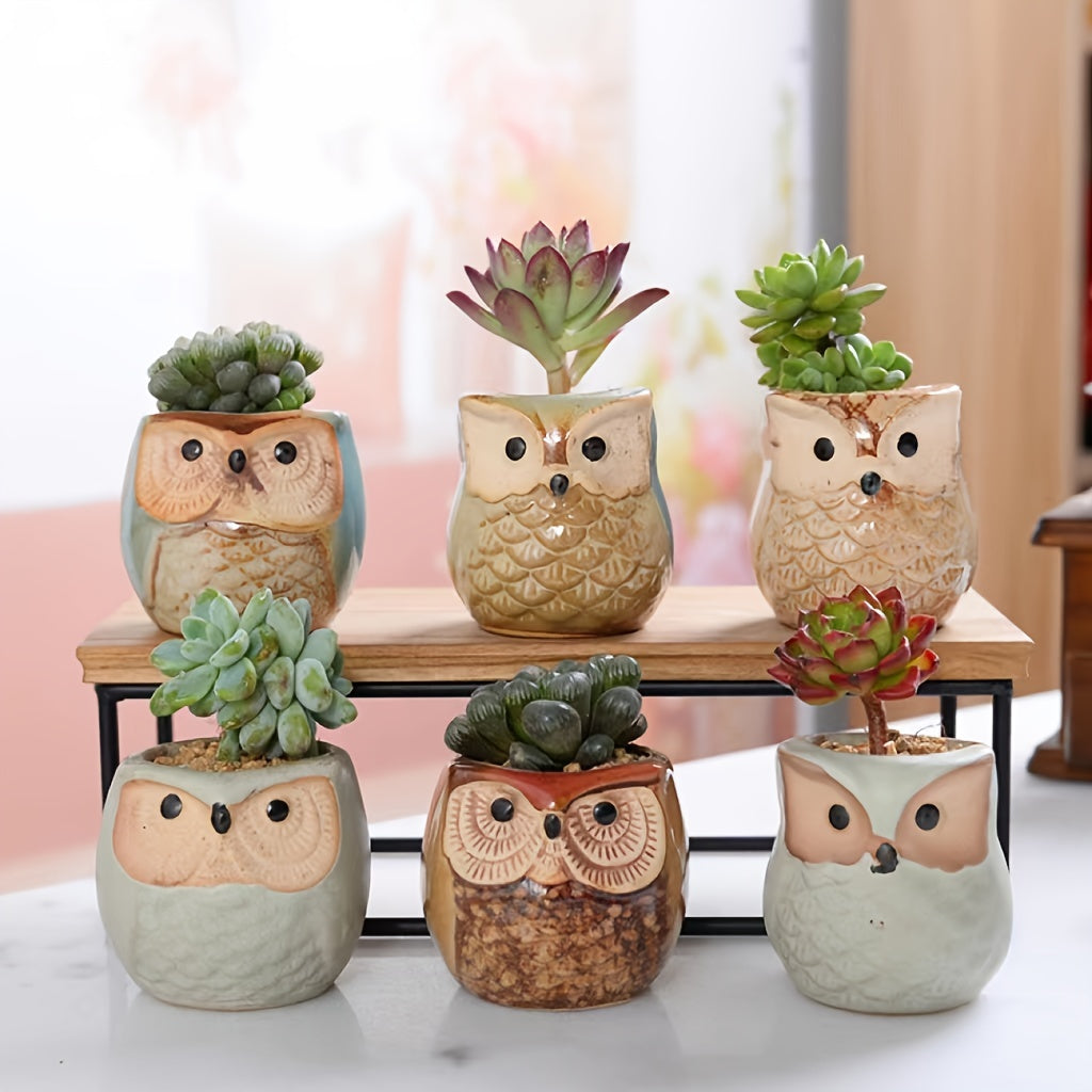 Owlish Companions Succulent Set