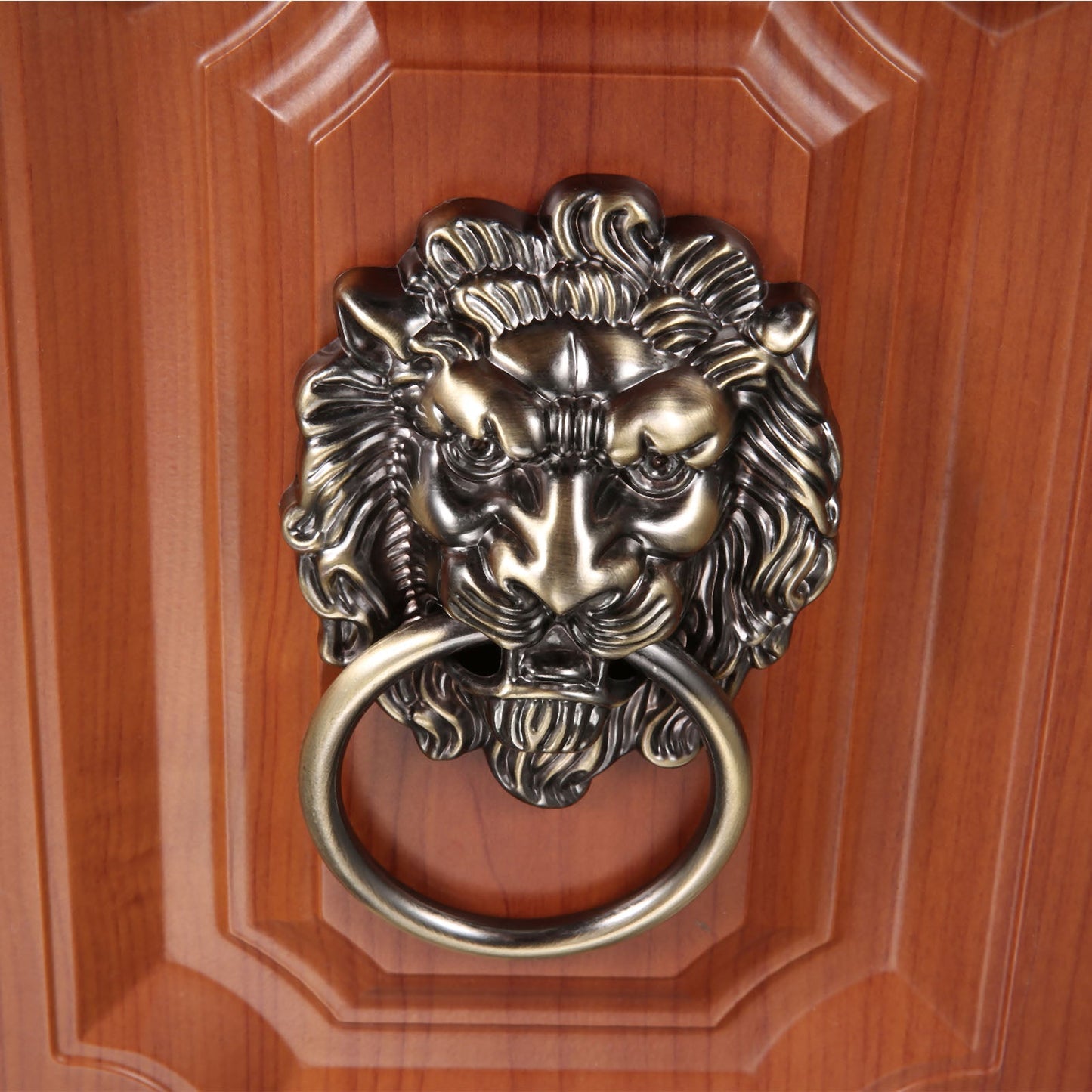 Vintage Lion Head Handles