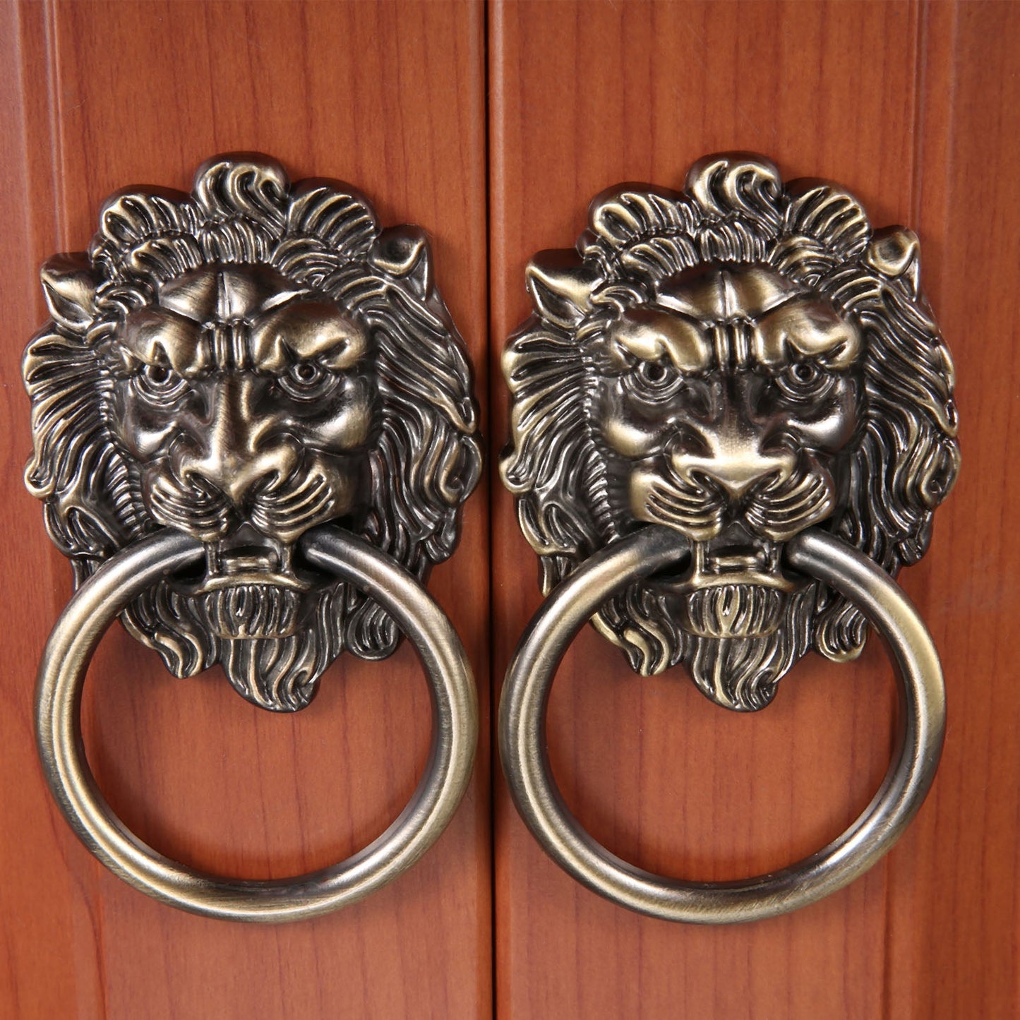 Vintage Lion Head Handles