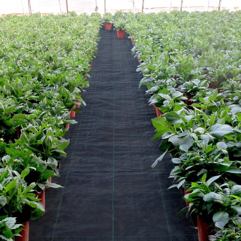 🔥Last Day 49% OFF - Premium Woven Weed Barrier