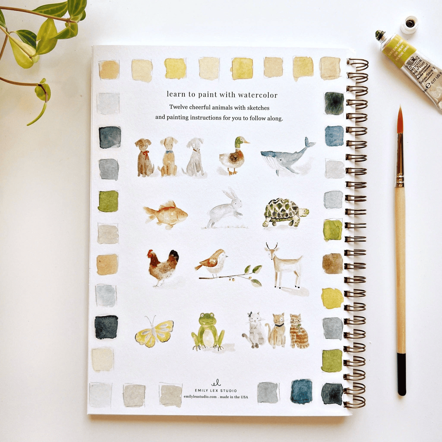 🔥LAST DAY 55% OFF - 🖼️Beginner-Friendly💕 Watercolor Workbook